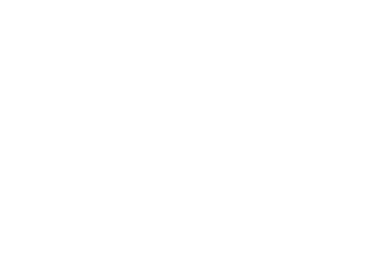 Skoog for Governor